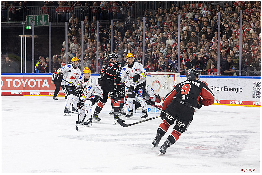 PENNY DEL 1; Kölner Haie - Fischtown Pinguins; Köln, 15.11.2024